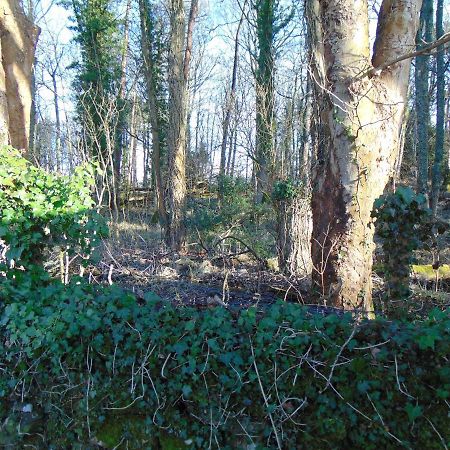 Dreamwood Cottage, Loch Lomond, Luxury Apartment. グラスゴー エクステリア 写真