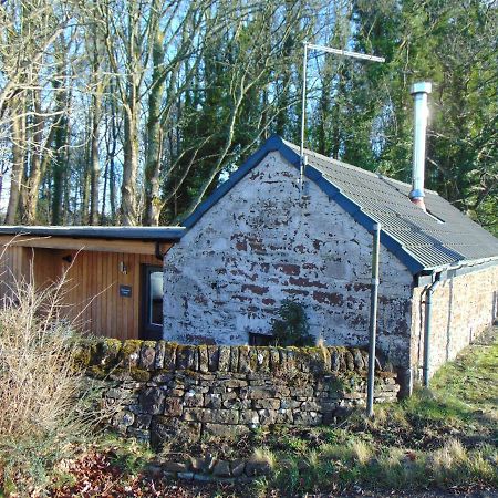 Dreamwood Cottage, Loch Lomond, Luxury Apartment. グラスゴー エクステリア 写真
