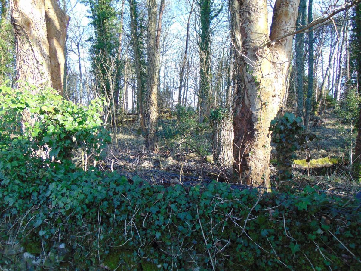 Dreamwood Cottage, Loch Lomond, Luxury Apartment. グラスゴー エクステリア 写真