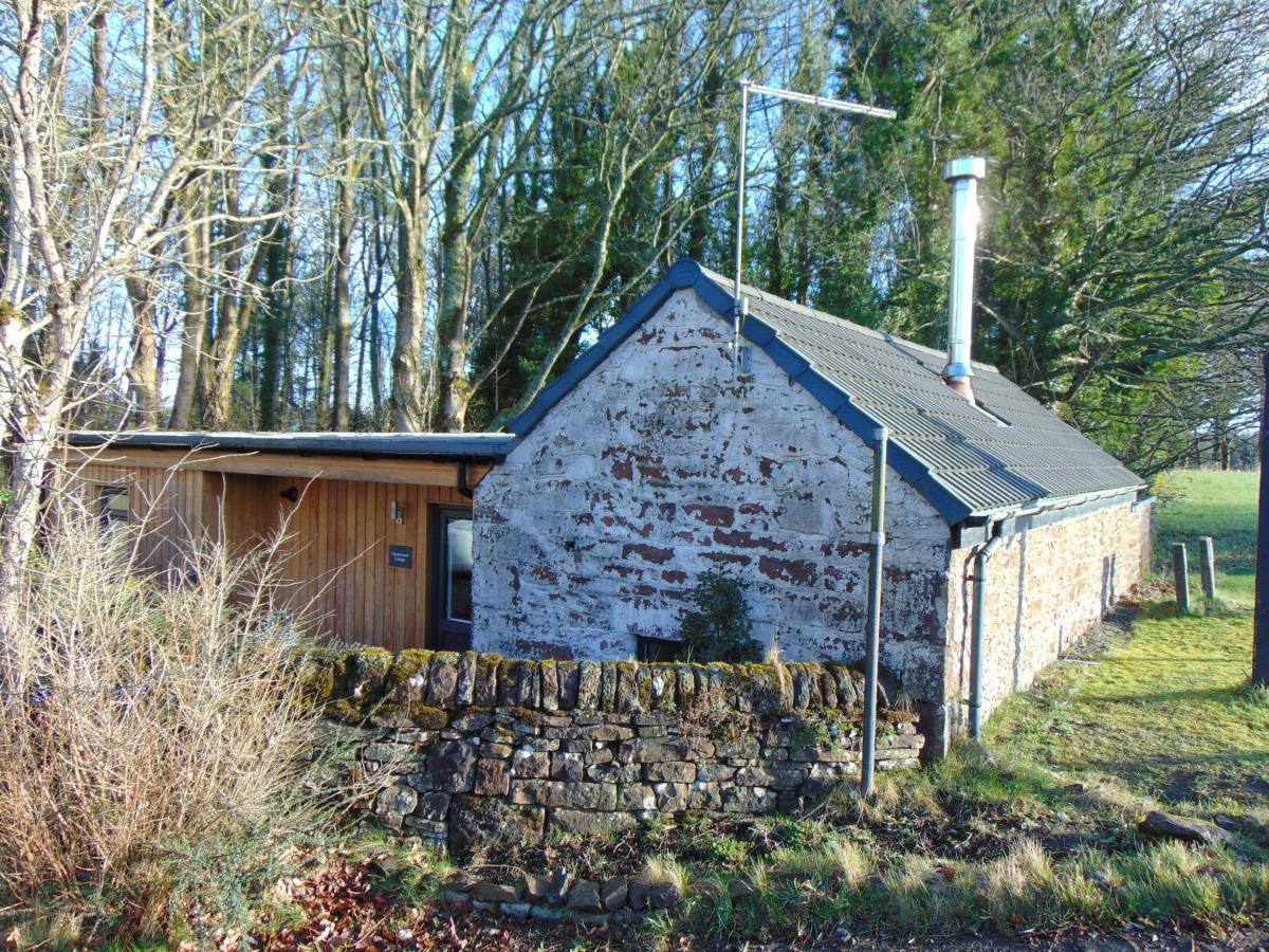 Dreamwood Cottage, Loch Lomond, Luxury Apartment. グラスゴー エクステリア 写真